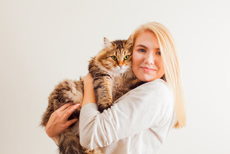 Essential Guide for Welcoming Your New Cat: Tips for a Happy Home