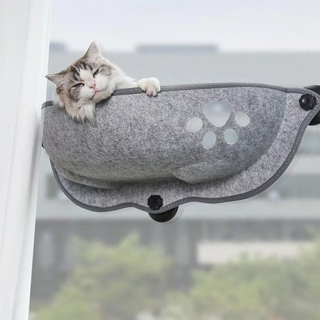 Cat Window Perches - Purr Wish