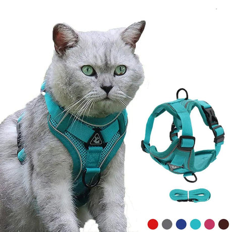 Cat Leashes - Purr Wish