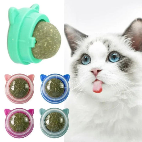 Catnip Toys - Purr Wish