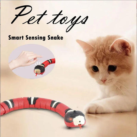 Snake Cat Toys - Purr Wish