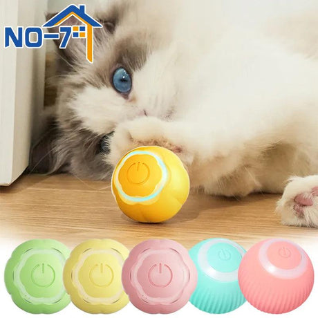 Ball Cat Toys - Purr Wish