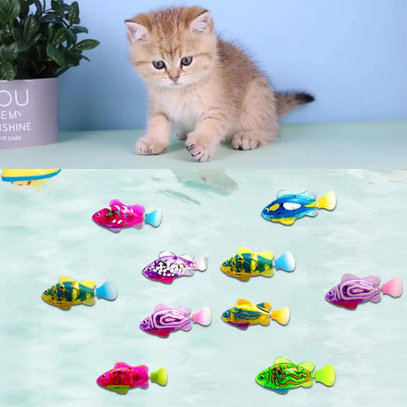 Fish Cat Toys - Purr Wish