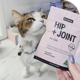 Hip + Joint Supplement for Cats - 60 Scoops - Cat Supplements - Purr Wish