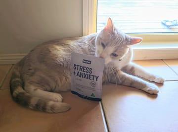 Stress & Anxiety Relief for Cats - 60 Scoops - Cat Supplements - Purr Wish