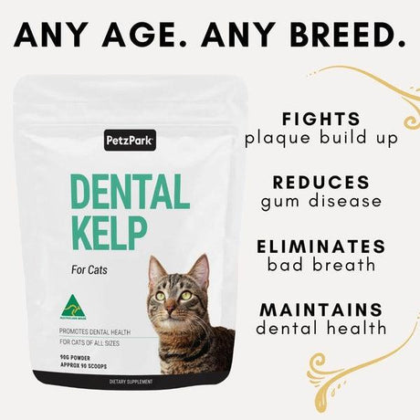 Natural Dental Kelp for Cats - 90 Scoops - Cat Supplements - Purr Wish