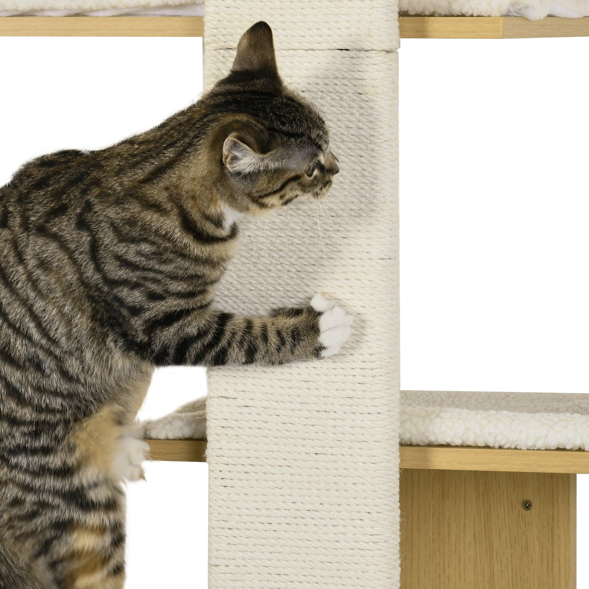 4-Tier Space-Saving Oak Cat Wall Shelf - Cat Walls - Purr Wish