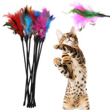 Cat Wand Teaser Toy Set: Feathers and Bells - Feather Cat Toys - Purr Wish