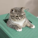 Hooded Cat Litter Box with Scoop, Green & White - Cat Litter Trays - Purr Wish