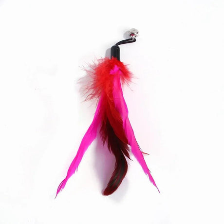 Feathers Cat Wand Toy: Pole & Attachments - Cat Wand Toys - Purr Wish