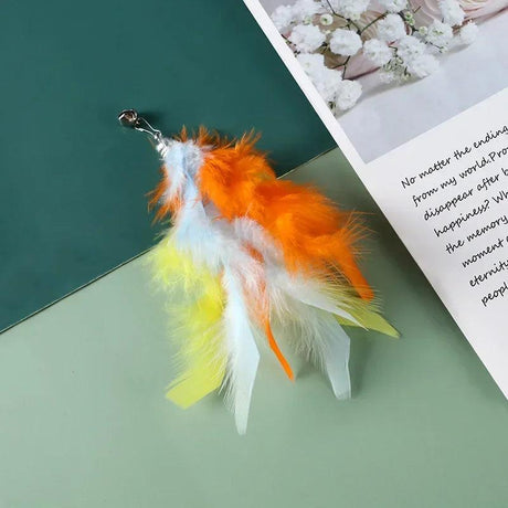 Feathers Cat Wand Toy: Pole & Attachments - Cat Wand Toys - Purr Wish