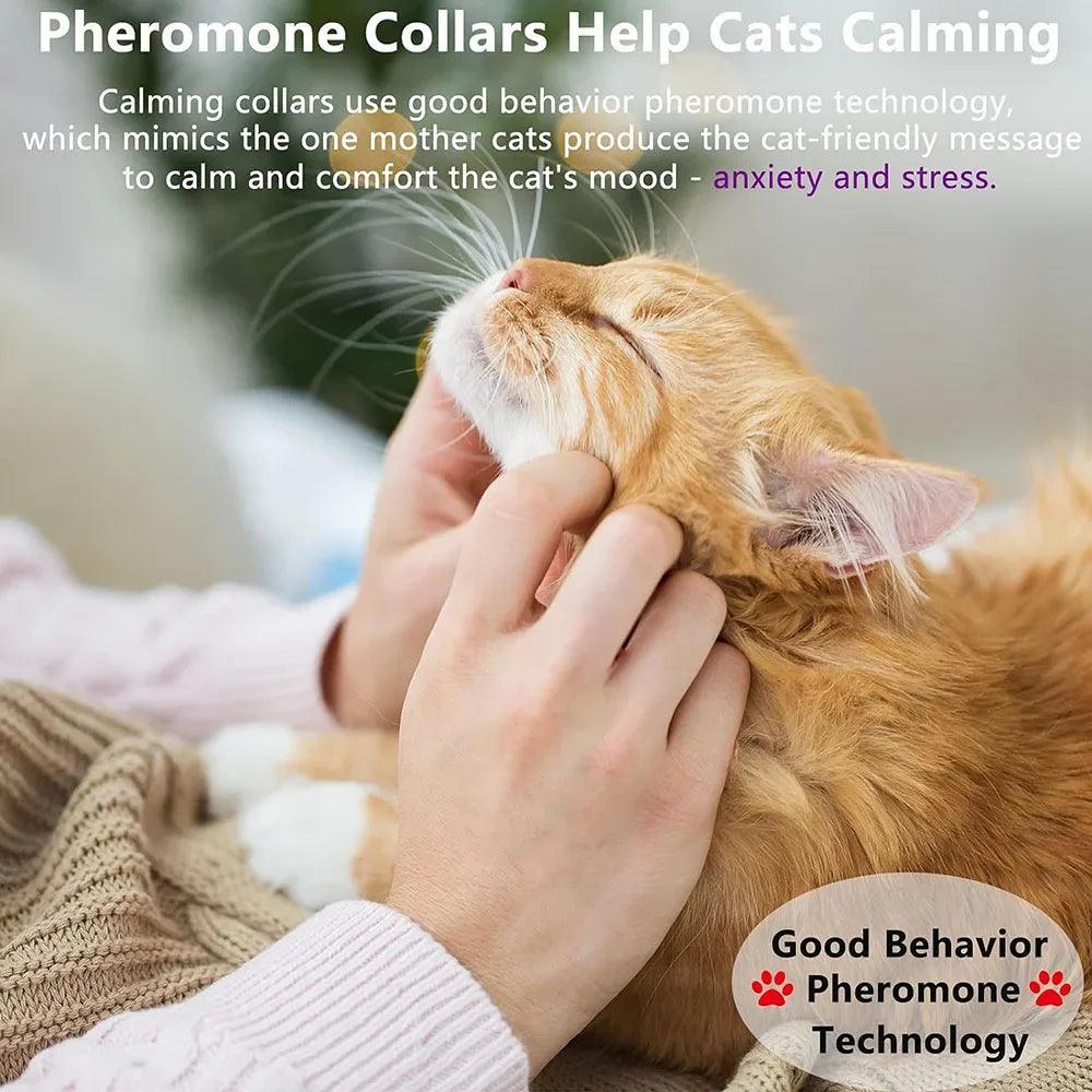 Calming Cat Collar: Reduce Anxiety with Pheromones - Cat Collars - Purr Wish