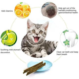 Natural Matatabi Cat Sticks: Teeth Cleaning Mint Rods - Catnip Toys - Purr Wish