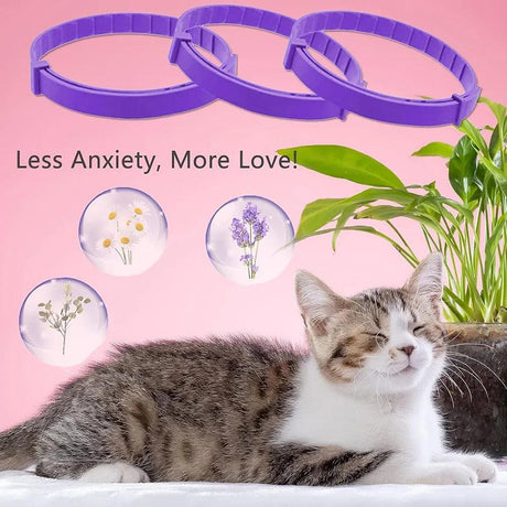 Calming Cat Collar: Reduce Anxiety with Pheromones - Cat Collars - Purr Wish