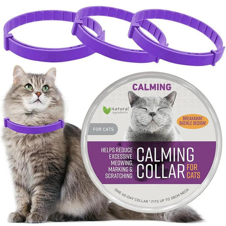 Calming Cat Collar: Reduce Anxiety with Pheromones - Cat Collars - Purr Wish