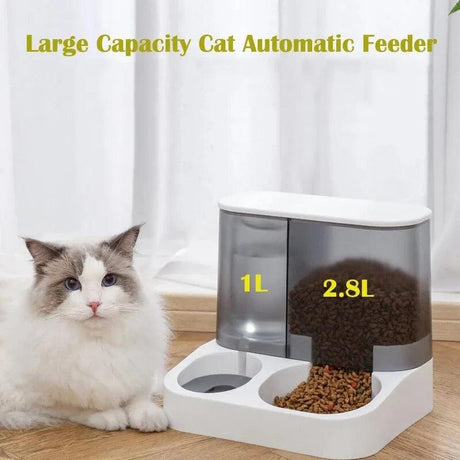 Automatic Cat Food Dispenser: Large Capacity Water / Dry Food Bowl - Cat Bowls & Feeders - Purr Wish