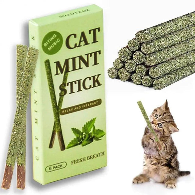 Natural Matatabi Cat Sticks: Teeth Cleaning Mint Rods - Catnip Toys - Purr Wish