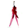 Feathers Cat Wand Toy: Pole & Attachments - Cat Wand Toys - Purr Wish