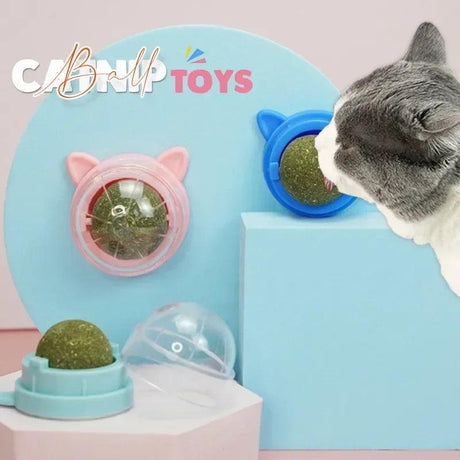 Rotatable Catnip Wall Ball for Cats - Catnip Toys - Purr Wish