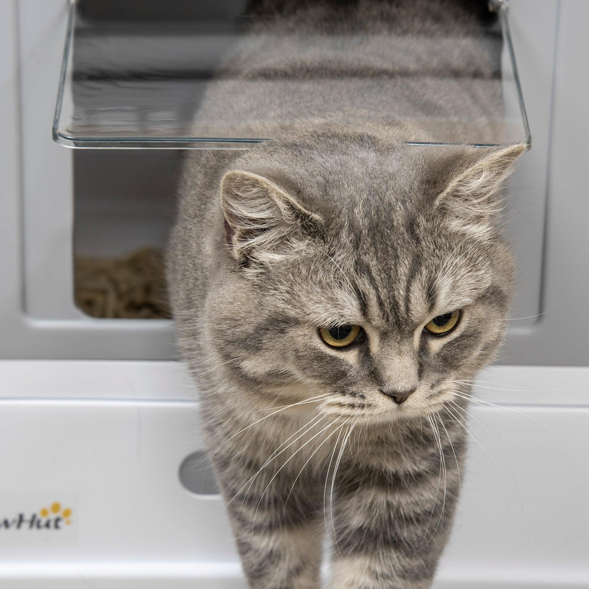 Hooded Cat Litter Box with Scoop - Grey & White - Cat Litter Trays - Purr Wish